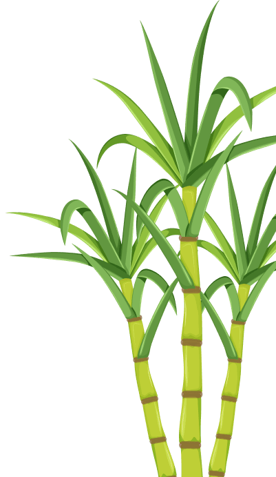 cane-right